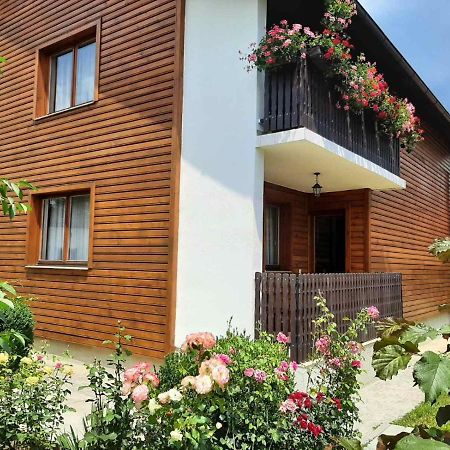 Aleksandar Apartmani Пале Экстерьер фото
