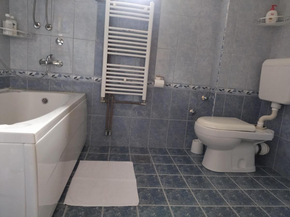 Aleksandar Apartmani Пале Экстерьер фото