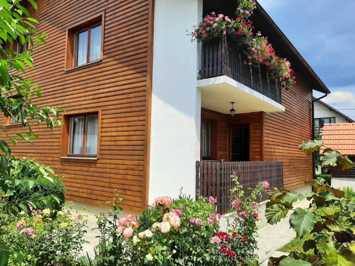 Aleksandar Apartmani Пале Экстерьер фото